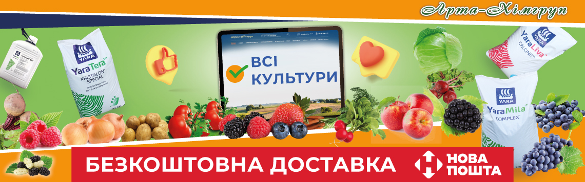 Bezkoshtovna_dostavka